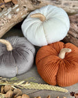 Med. Gray Corduroy Pumpkin
