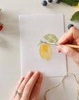 Fruit paintable notecards