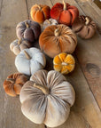 Med. Cinnamon Velvet Fall Pumpkin