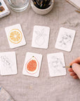 Paintable Watercolor Card Deck - Fruits and Veggies