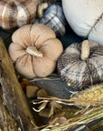 Sm. Tan Corduroy Pumpkin