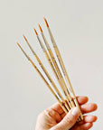 Watercolor paintbrush set of five wood brushes