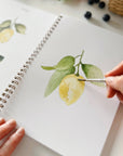 Emily Lex Fruit watercolor workbook