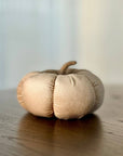 Lrg. Almond Corduroy Pumpkin