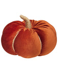 Med. Cinnamon Velvet Fall Pumpkin