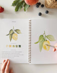 Emily Lex Fruit watercolor workbook