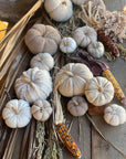 Pumpkin-Small Tan Fuzzy Fall Fabric