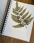 June & December Herbarium Journal