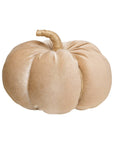 Lrg. Desert Velvet Fall Pumpkin