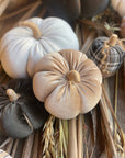 Lrg. Desert Velvet Fall Pumpkin