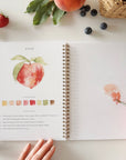 Emily Lex Fruit watercolor workbook