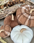 Med. Brown Corduroy Pumpkin