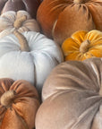 Pumpkin-Med. Saddle Velvet Fall