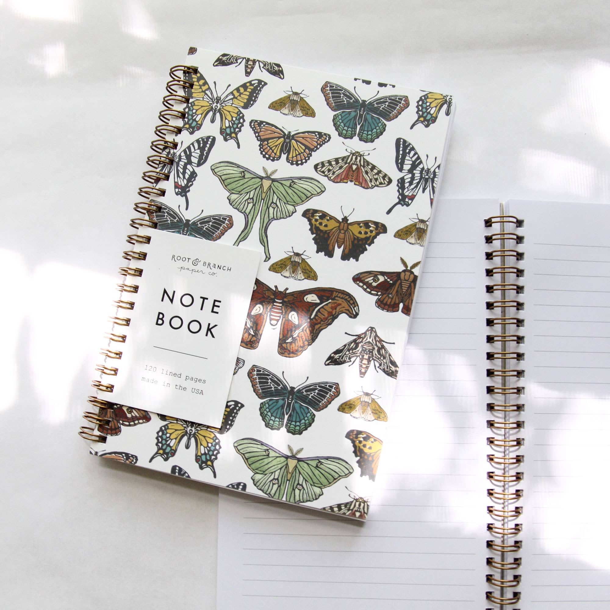 Moth Notebook Butterfly + Moth Spiral Bound Notebook – Hydrangea Home