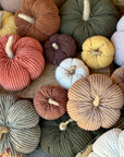 Pumpkin-Medium Cookie Corduroy