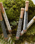 Tea Garden Pencil Terrarium, Set of 5 Pencils