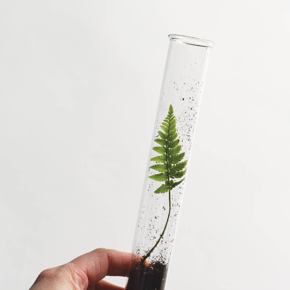 Tea Garden Pencil Terrarium, Set of 5 Pencils