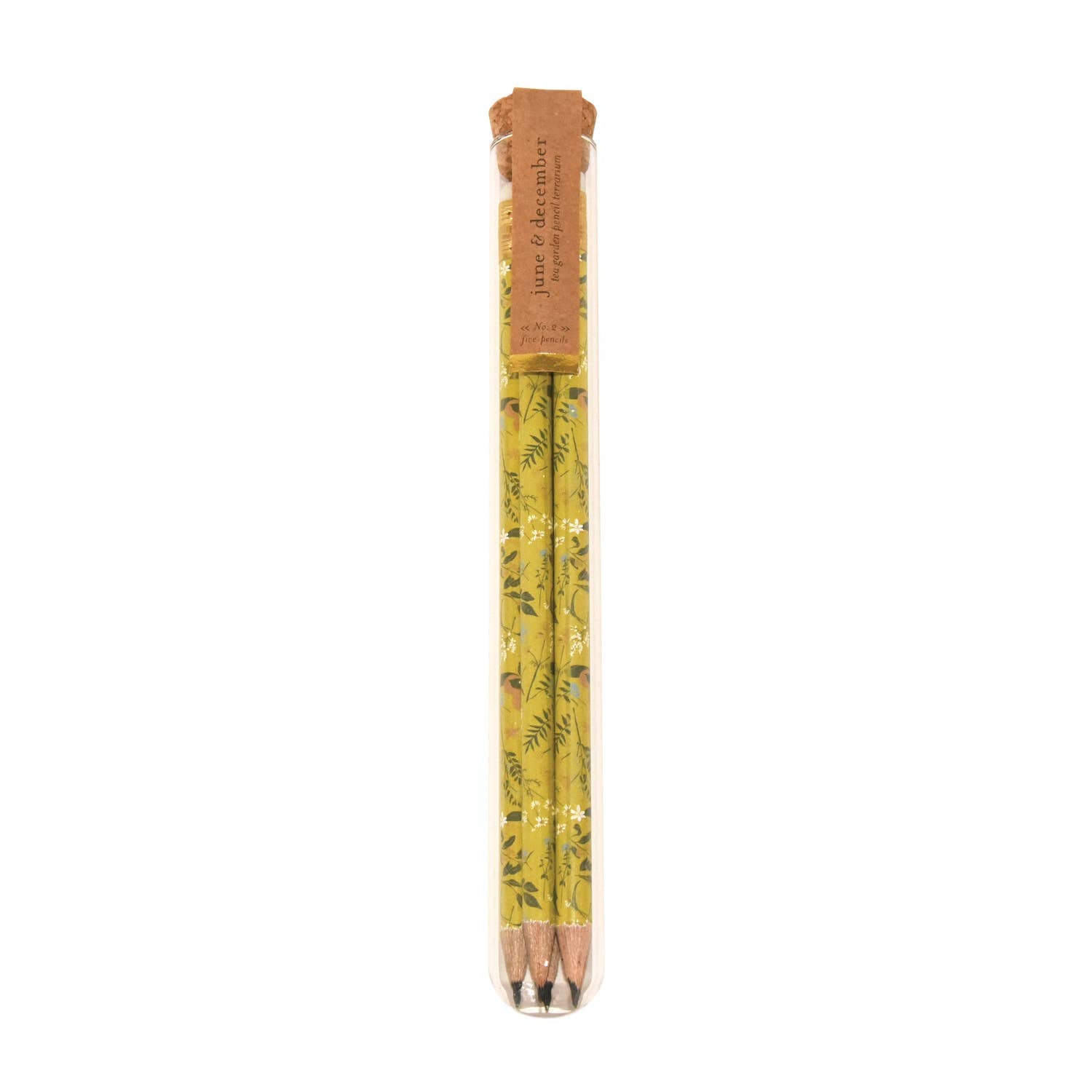 Tea Garden Pencil Terrarium, Set of 5 Pencils