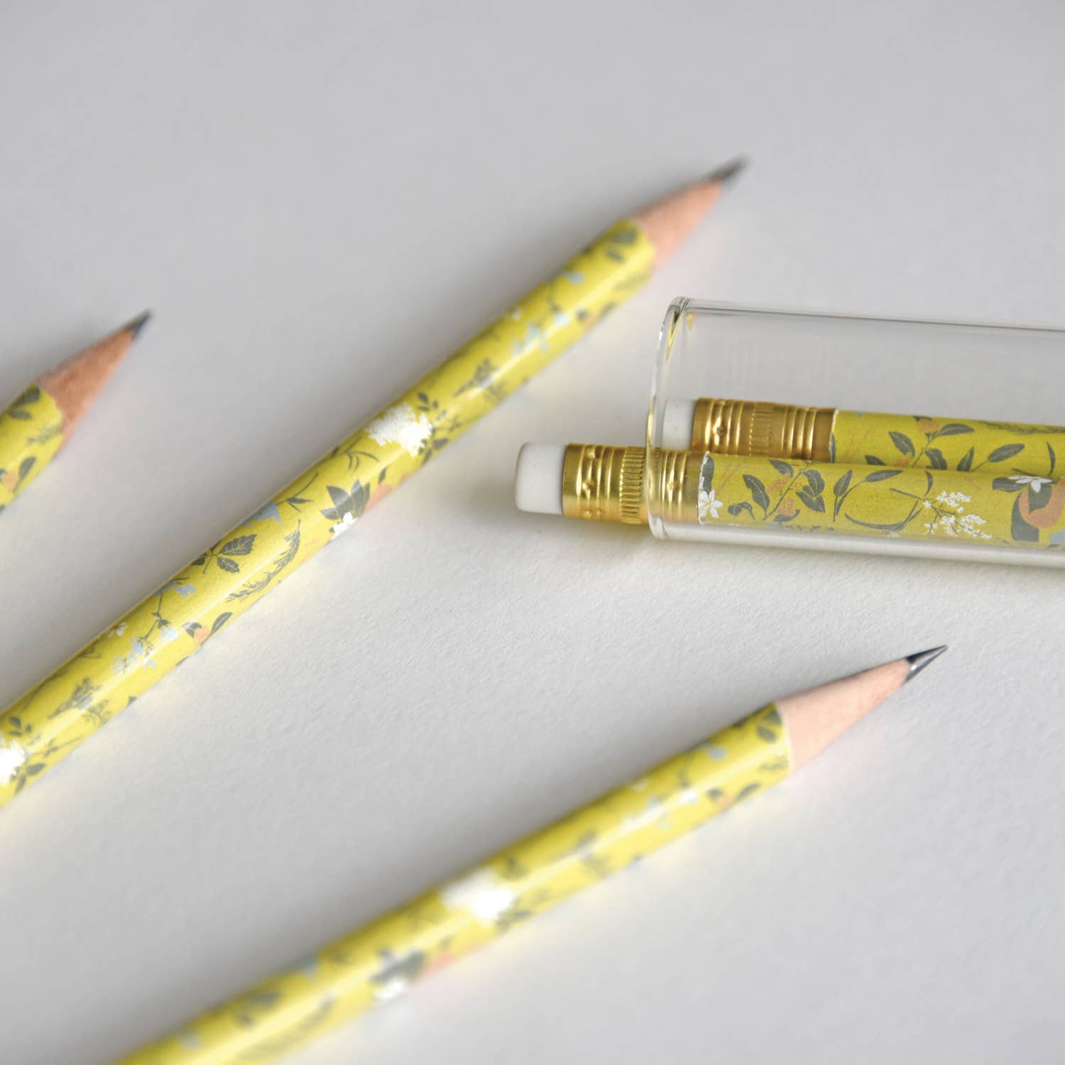 Tea Garden Pencil Terrarium, Set of 5 Pencils