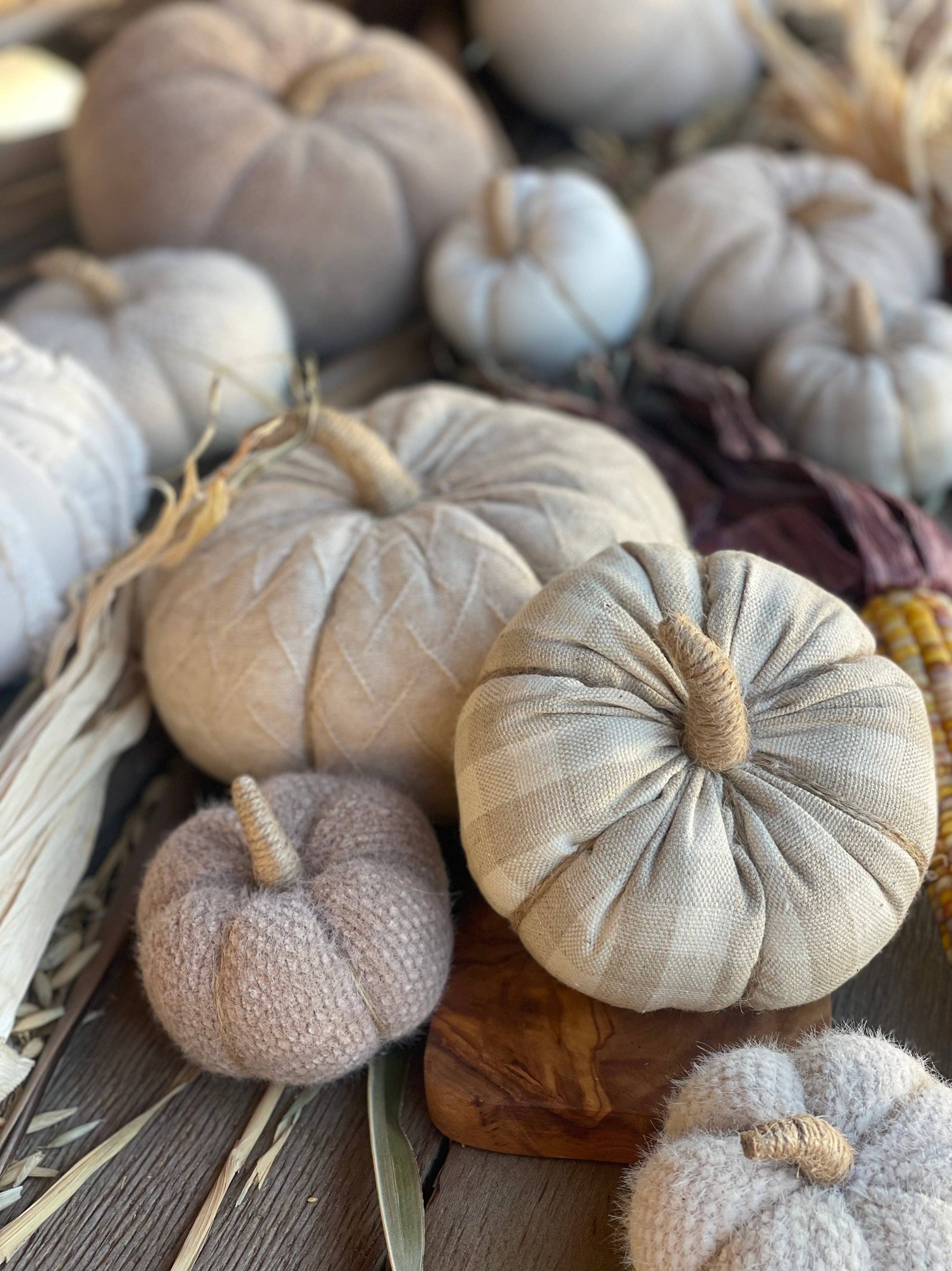 Medium Tan Diamond Fall Fabric Pumpkin