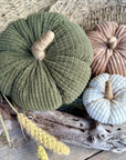 Pumpkin-Medium Cookie Corduroy