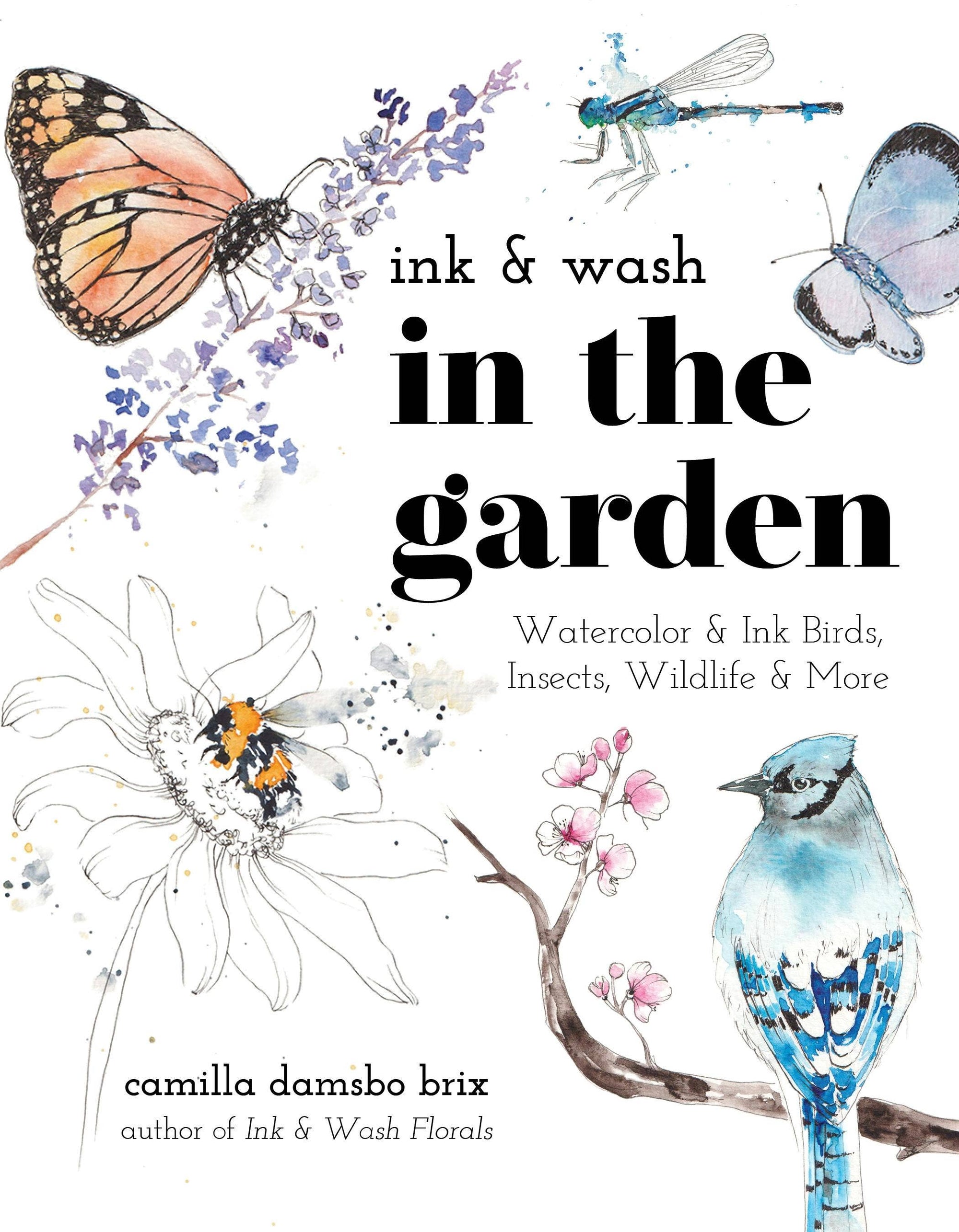 Ink And Wash In The Garden: Watercolor &amp; Ink Wildlife Art