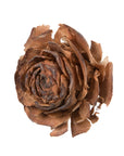 Cedar Rose Natural