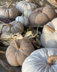 Medium Tan Fuzzy Fall Fabric Pumpkin