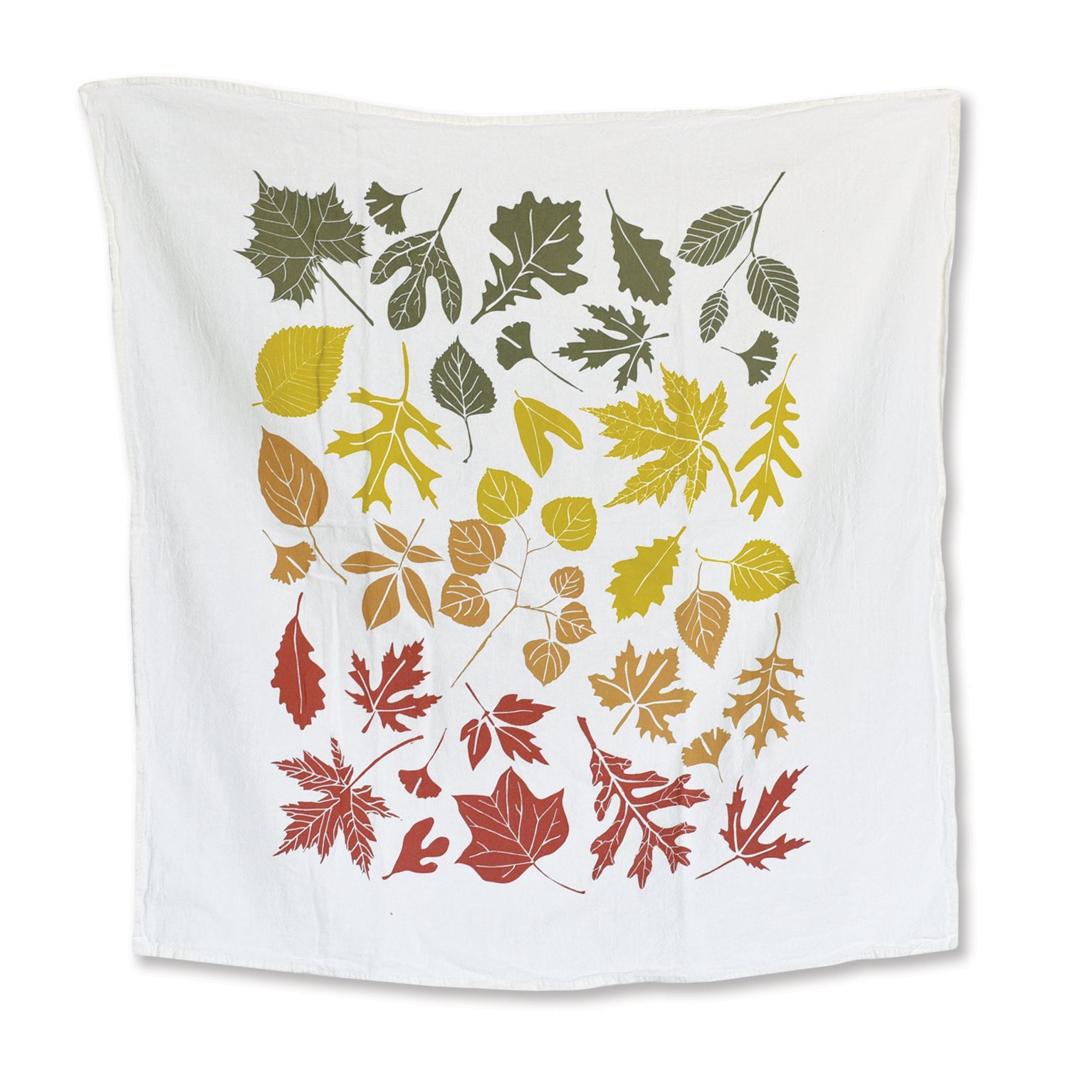 June &amp; December kitchen towels