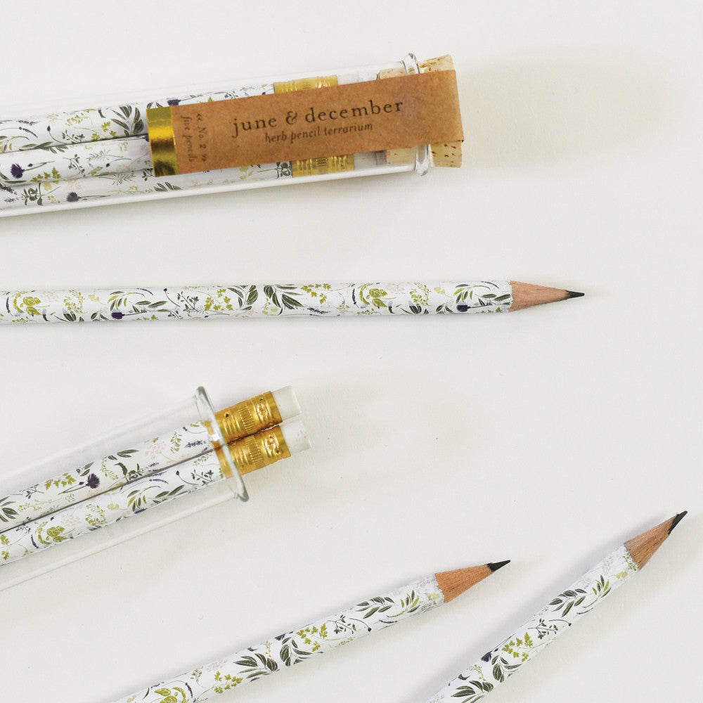 Pencil Terrarium - Herb