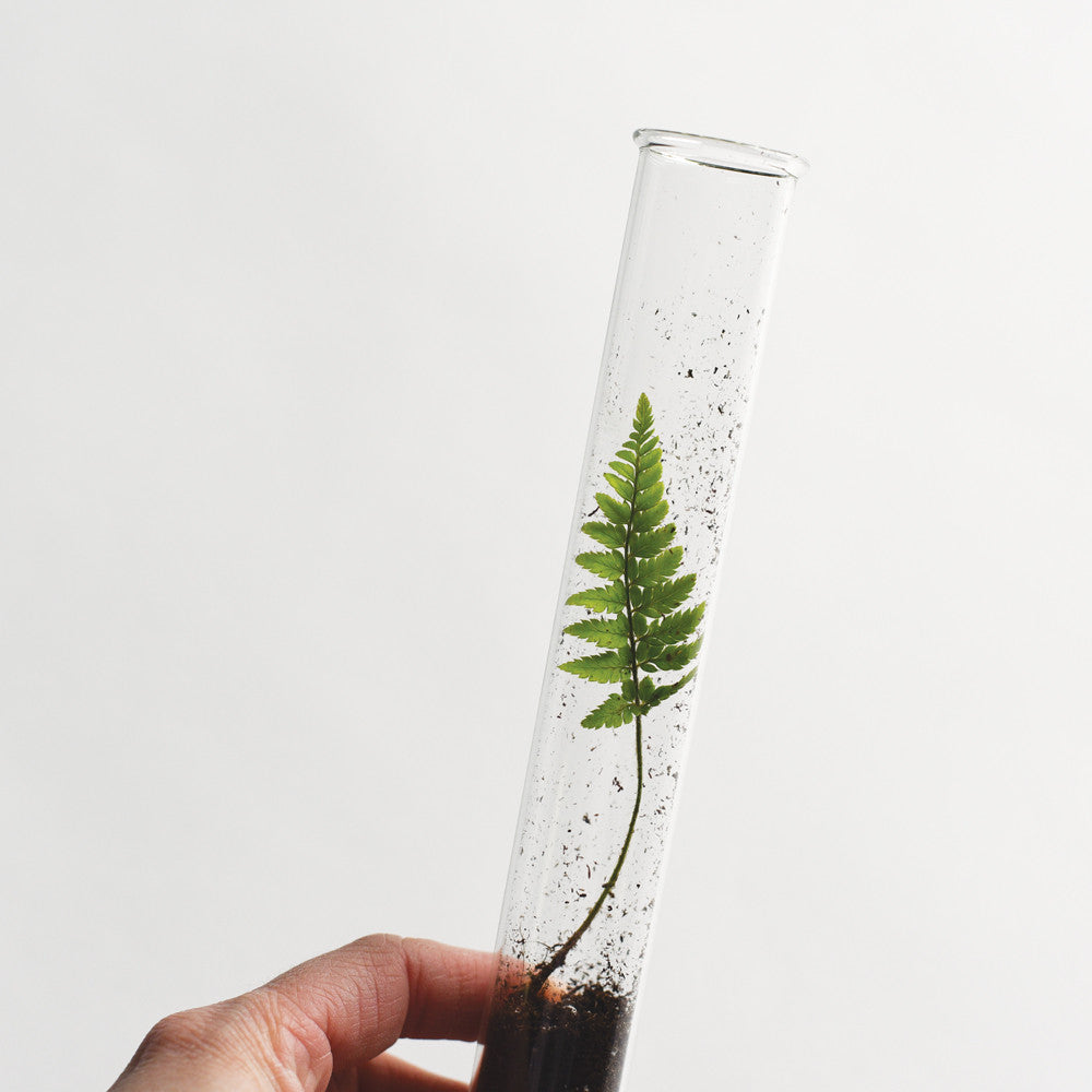 Pencil Terrarium - Herb