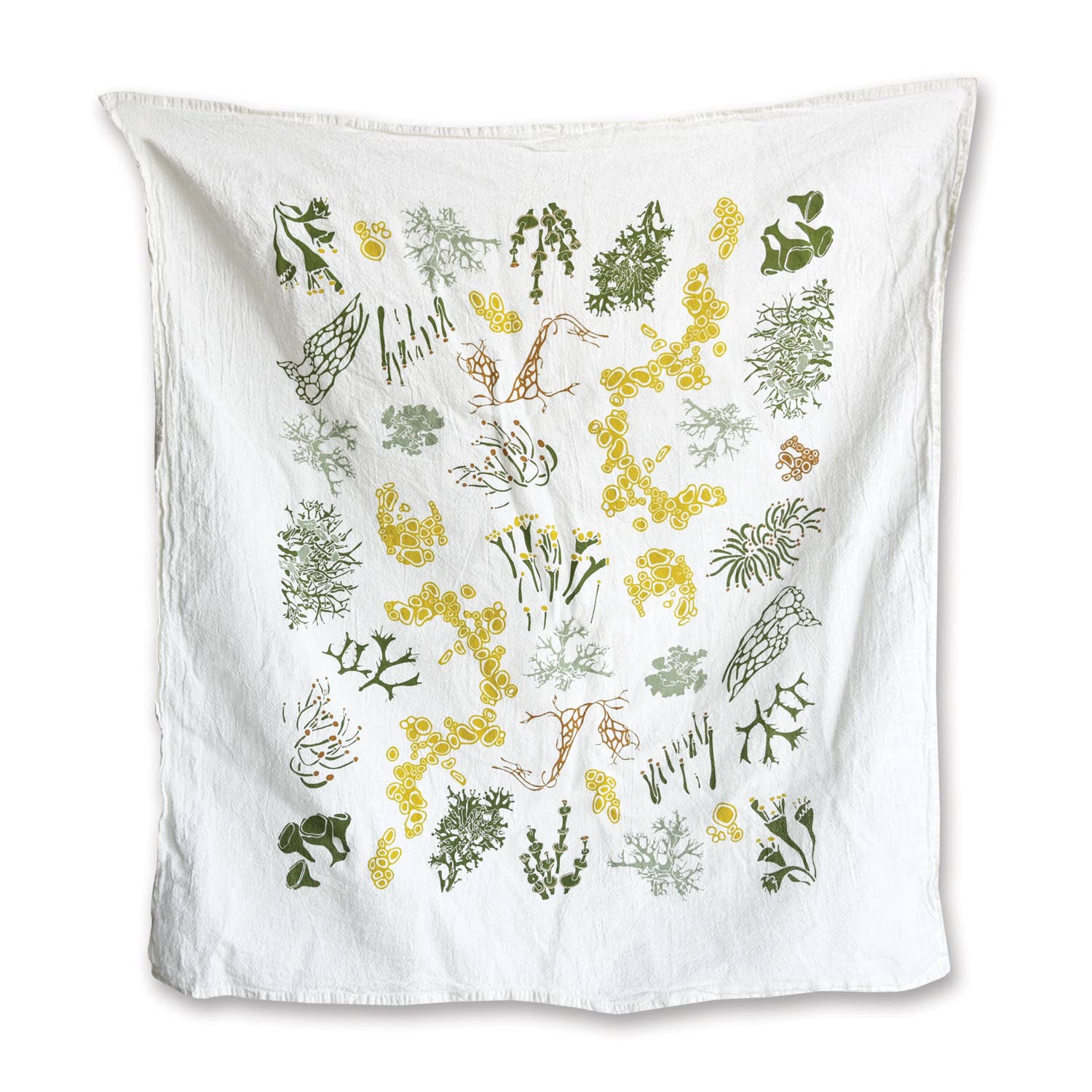 June &amp; December kitchen towels