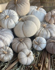 Pumpkin-Small Tan Fuzzy Fall Fabric