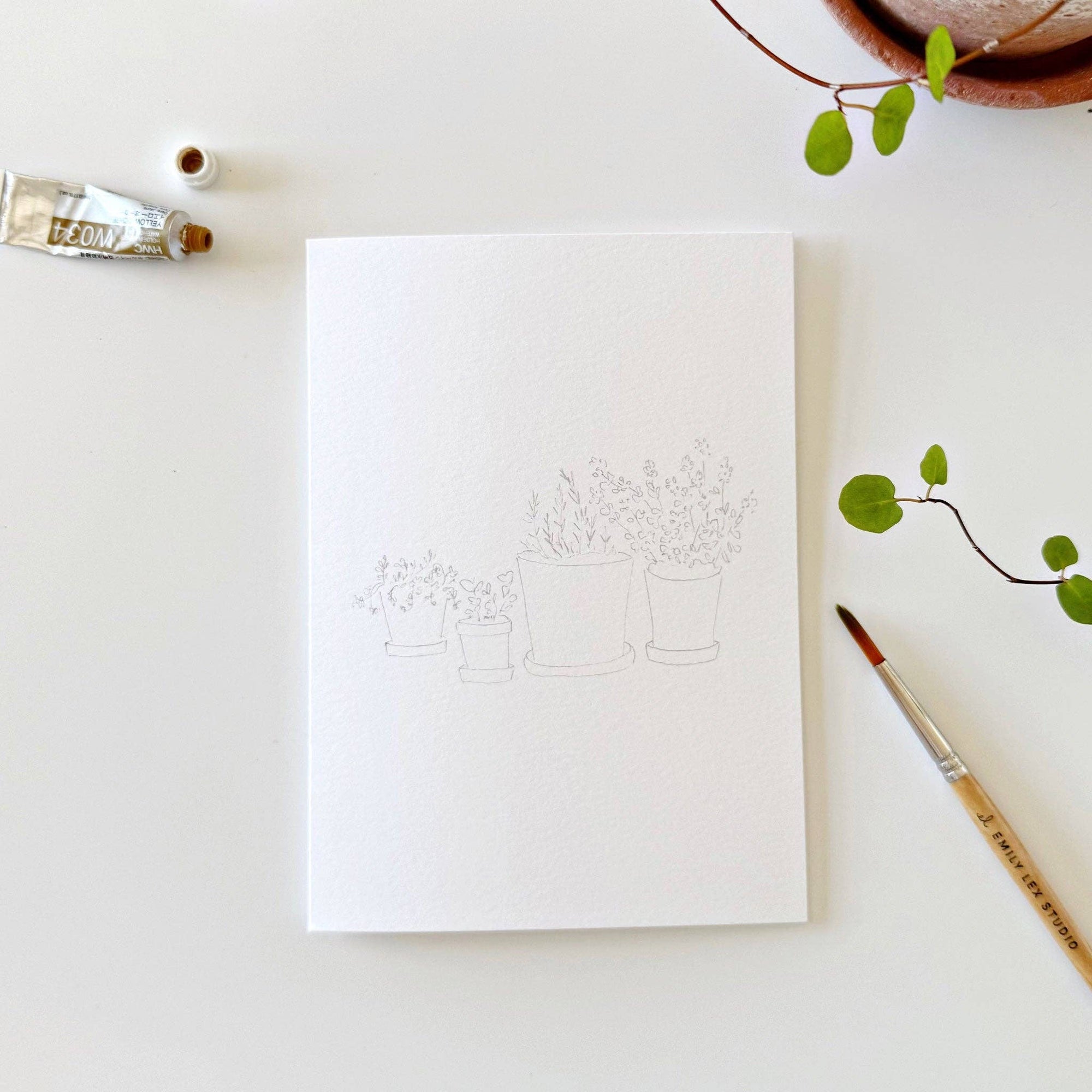 Potted Plants Paintable Notecards