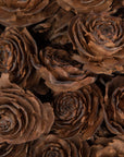 Cedar Rose Natural