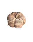 Pumpkin-Medium Cookie Corduroy